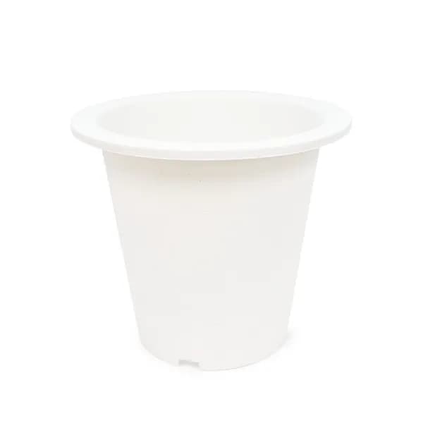 CW 현애분 화분 백색 5호 1개