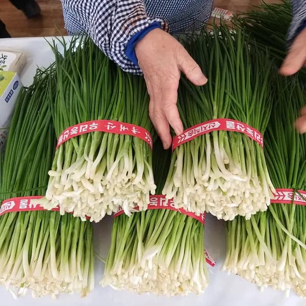 한밭농산 예천 깐쪽파 1kg 1단