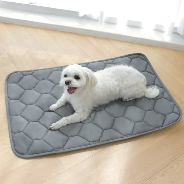 강아지 방수패드 대형 면 보라체크 1개 17,900원