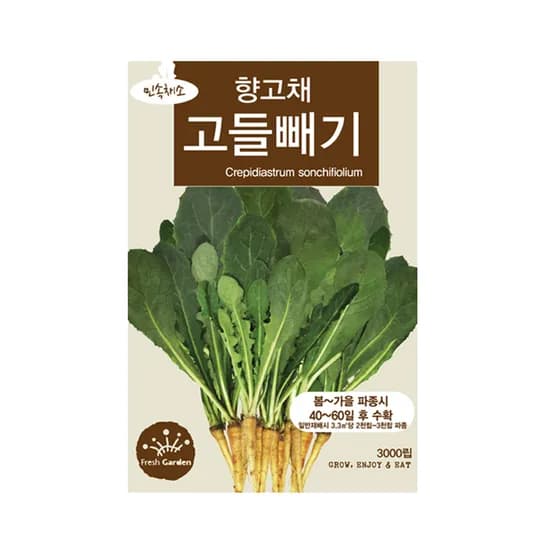 민속채소 향고채 고들빼기씨앗, 3000립