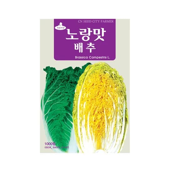 노랑맛 배추씨앗, 배추, 1000립