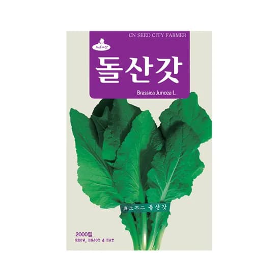 돌산갓씨앗 돌산갓 2000립 1개 4,300원