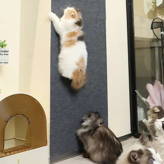 부착형 고양이 스크래처 패드, 30x100, 베이지