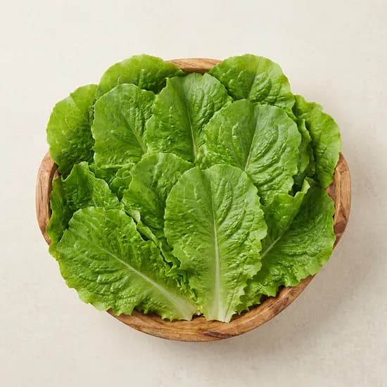 청상추 2kg 1박스