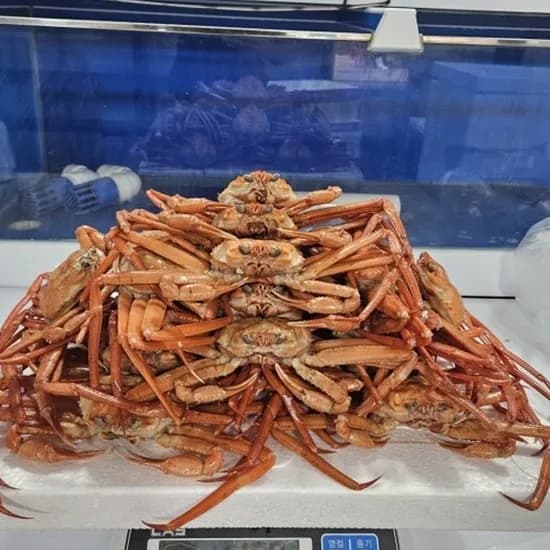 이든농수산 자숙 연지홍게 8kg 1박스