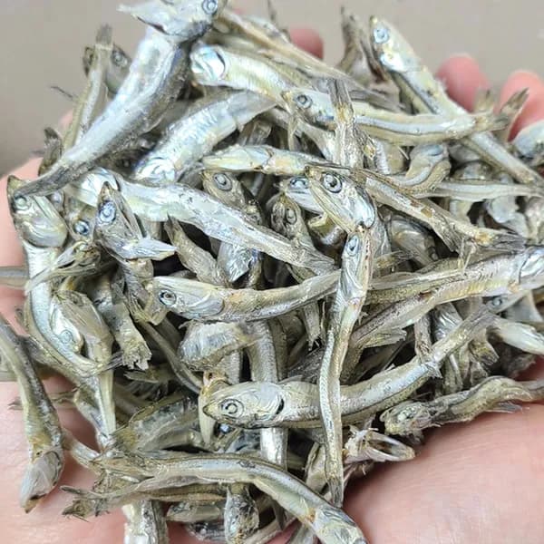 진도건해 고추장 찍어먹는 남해안 햇 고바 멸치 100g 1개