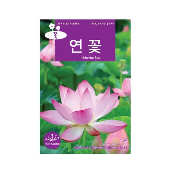 모두다 꽃씨앗 연꽃씨앗, 연꽃, 10립