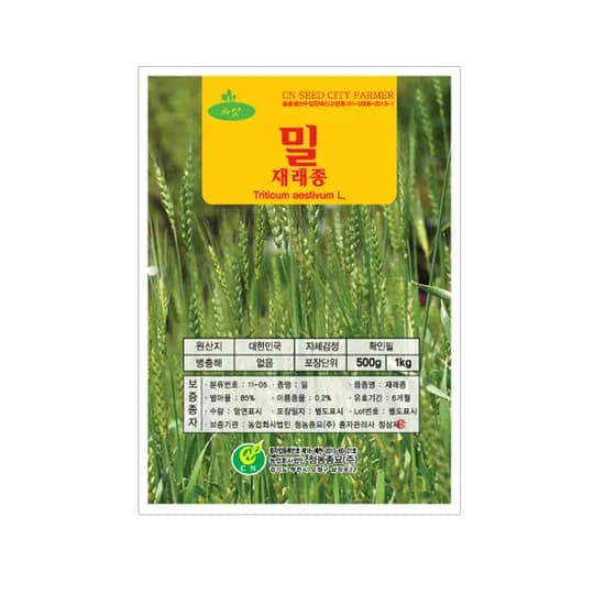 재배 밀씨앗 500g 1개