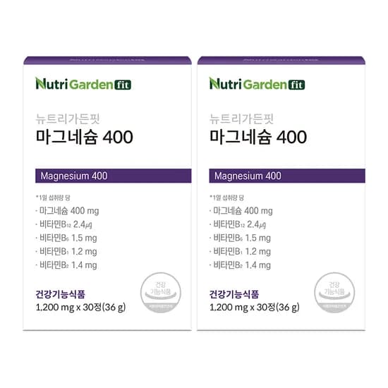 뉴트리가든핏 마그네슘 400 1200mg 30정 2박스