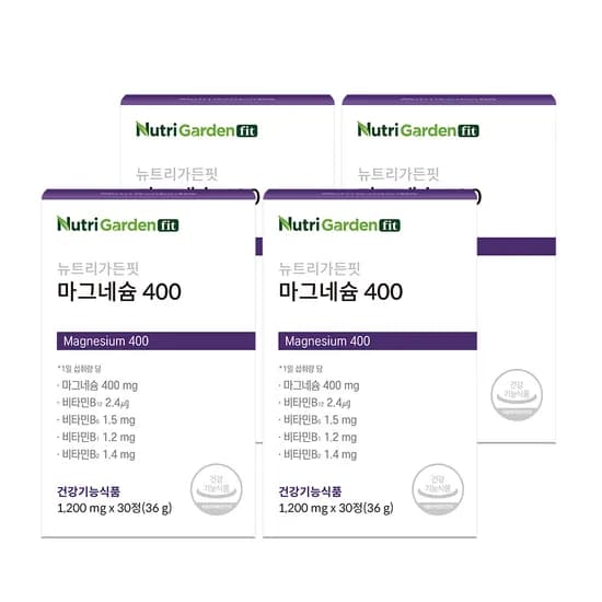 뉴트리가든핏 마그네슘 400 1,200mg 30정 4박스