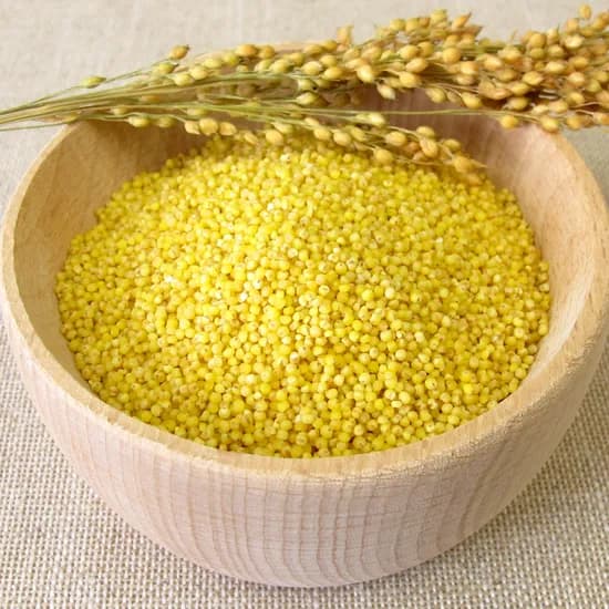 정성든 농수산 수입 찰기장 1kg 1개