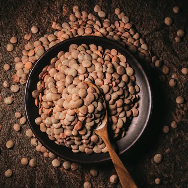 수입 렌틸콩 10kg 1개 20,700원