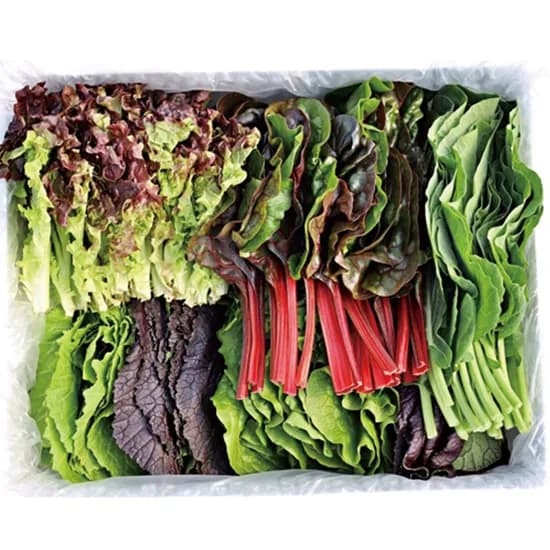 GAP 모듬 쌈채소 샐러드, 1kg, 1팩