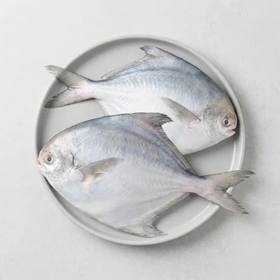 반건조 병어 23cm 내외 1마리 1개