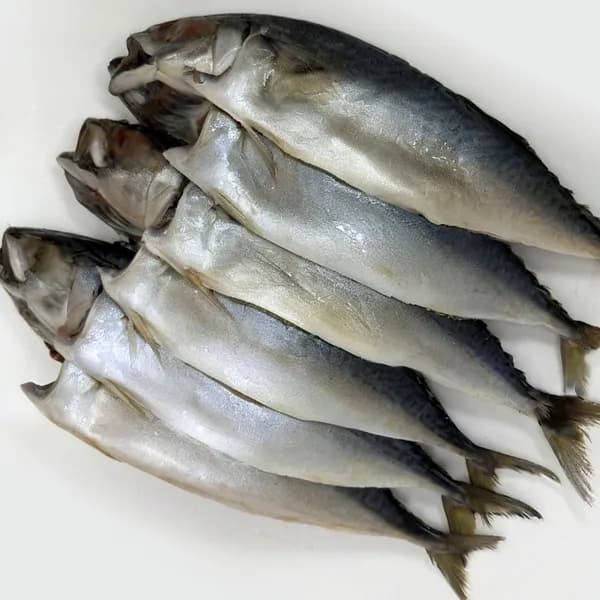 국내산 자반고등어 3손(6미) 1.3kg 이상 1개 14,000원