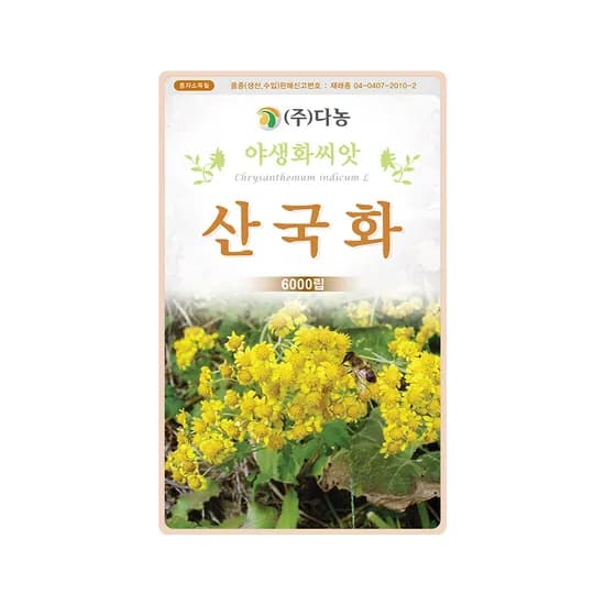 다농산 국화씨앗 산국화 6000립