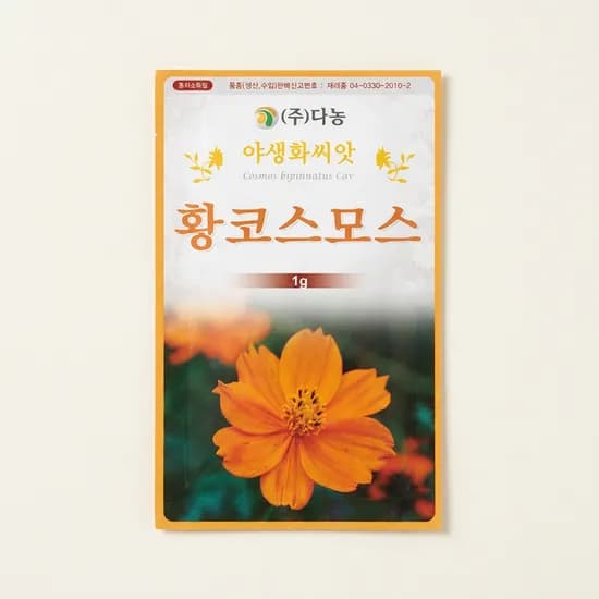다농 황코스모스 꽃씨앗 1g