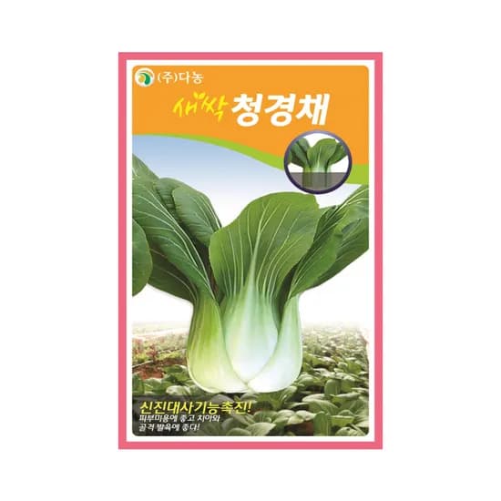 다농 새싹 청경채 씨앗 청경채 12g 1개