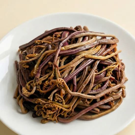 투데이푸드 데친 고사리 손질 수입 데침 1kg 1개