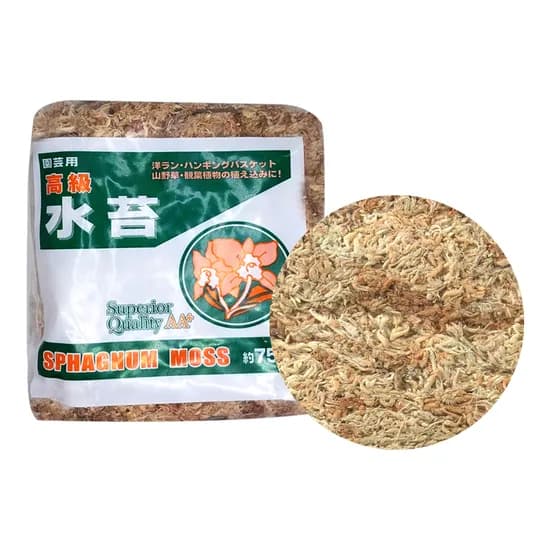 모두다 수태, 75g, 1개