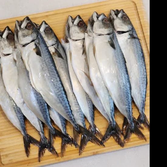 푸드어택 국내산 자반 고등어, 대짜, 31-33cm, 10미, 1개