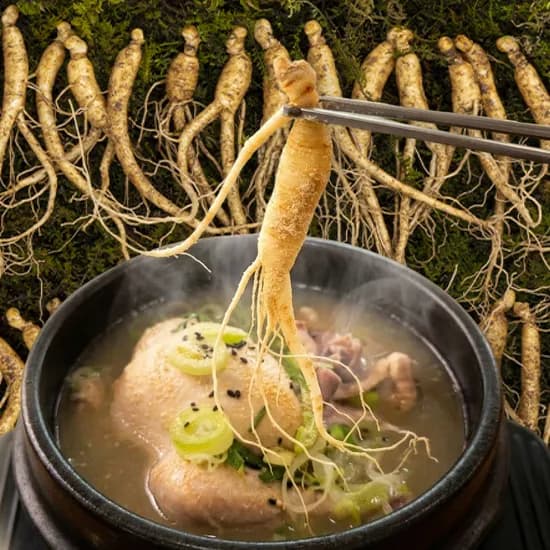 산삼농원 강원도 산양산삼, 10뿌리