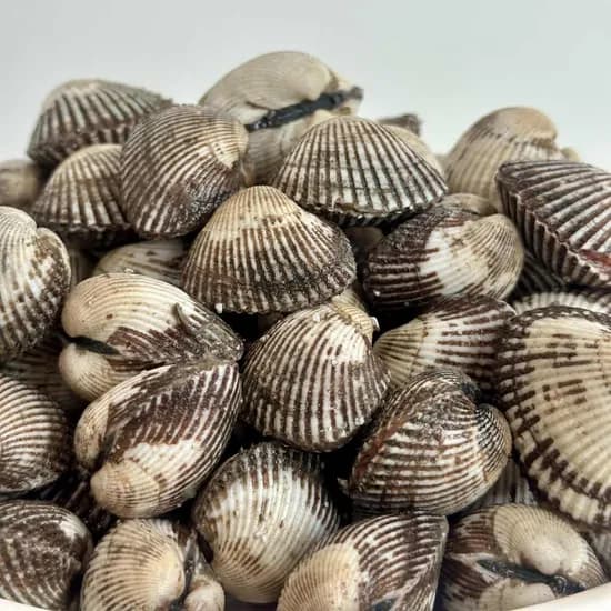 벌교 새꼬막 대 2kg 1개 17,300원