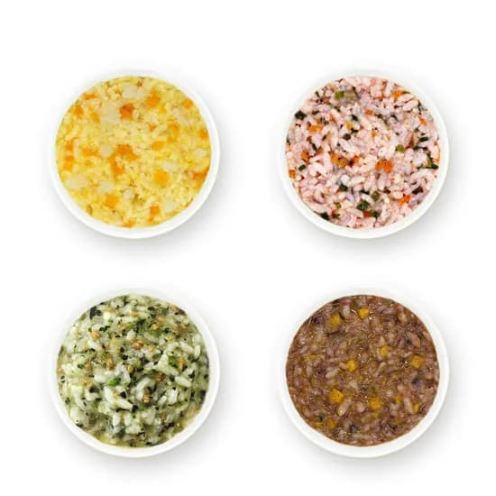 짱죽 냉장 이유식, 후기 진밥, 골고루, 200g, 12팩