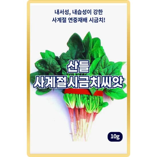 산들마켓 산들사계절시금치씨앗, 10g, 1개