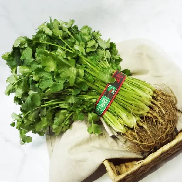 Greenfarm 고수(향채) 300g 1단 1개 7,000원