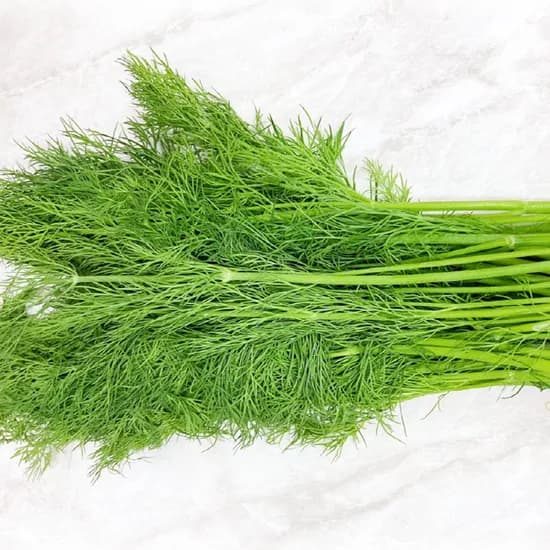 Greenfarm 딜, 100g, 1개