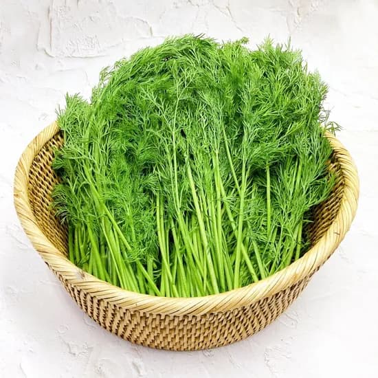 그린팜 500g 1개