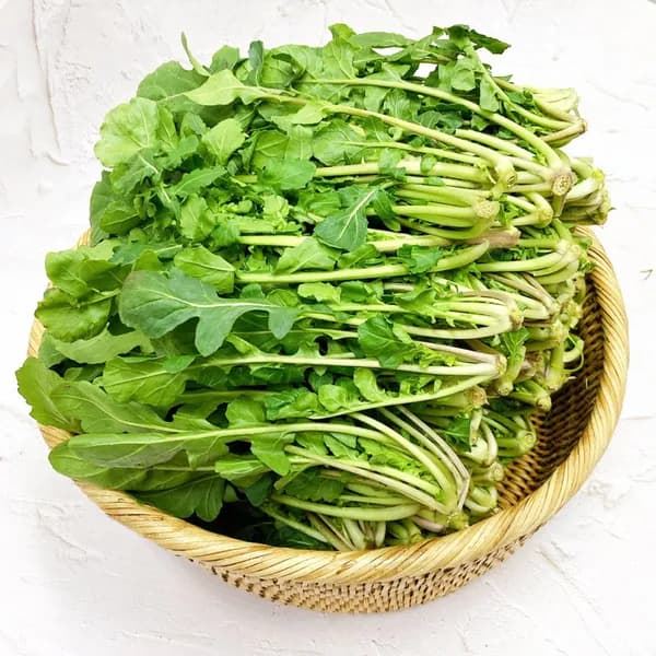 그린팜 루꼴라 로켓 샐러드 1kg 1개