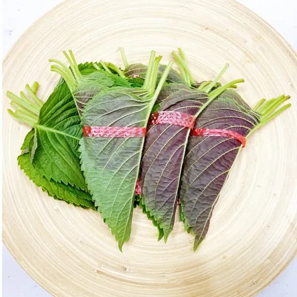 그린팜 깻잎 10장 1개 3,850원