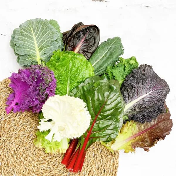 그린팜 모듬쌈 1kg 12,500원