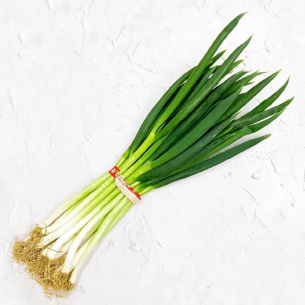 그린팜 대파 800g 1개 5,900원