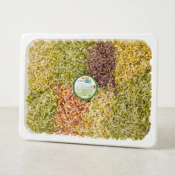 그린팜 모듬새싹 500g 1개 8,400원