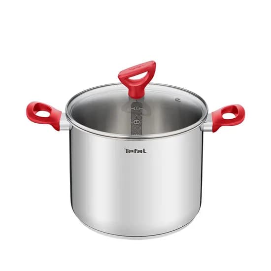 테팔 에디션 레드 곰솥냄비, 22cm, 1개