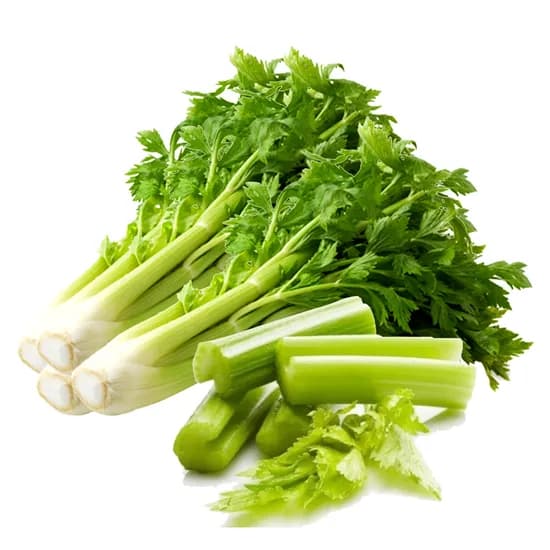 산정마을 국내산 샐러리 3kg 1개