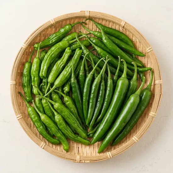 산정마을 풋고추 1kg 1개