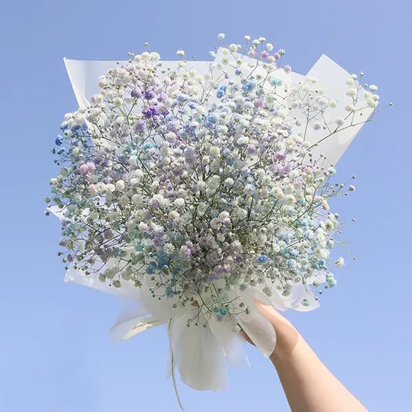 모리앤 오로라 안개꽃 생화꽃다발