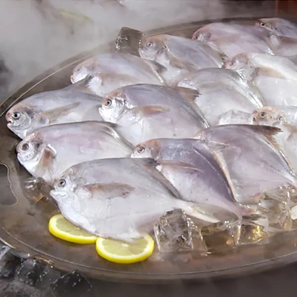 국내 자연산 병어 손질병어 13마리 1.3kg 내외 1개