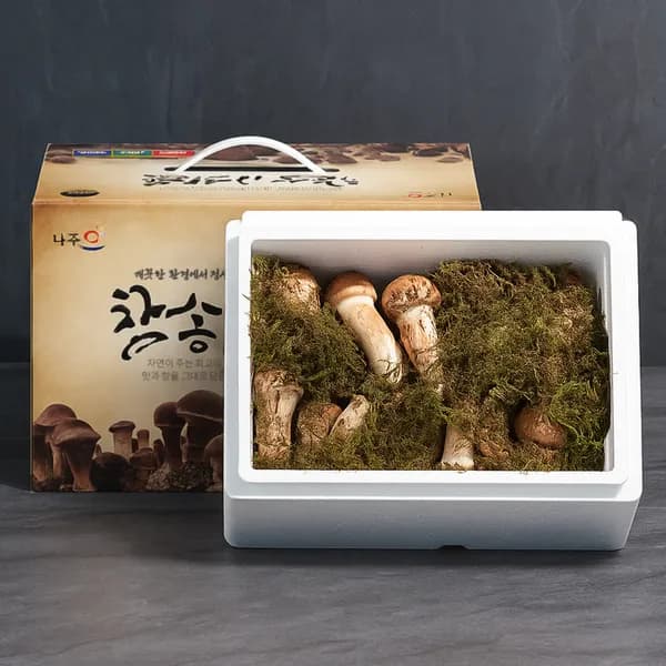 참송이버섯 정품 1kg 1박스 45,900원