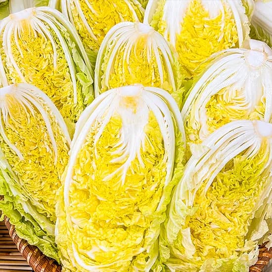 알배기배추 3kg 6~8통 내외 1개