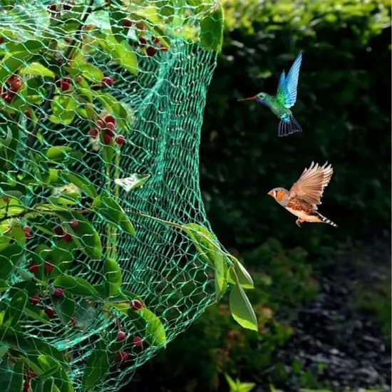 농작물 보호 방조망, 4x5m, 1개