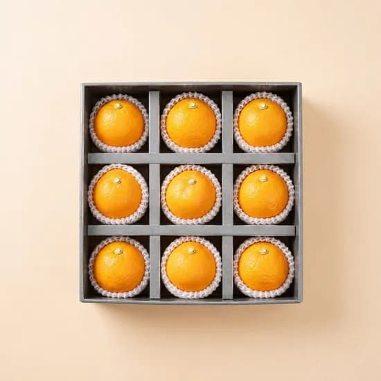 제주 천혜향 선물세트 9과 2.7kg 보자기 포장 1박스 41,900원