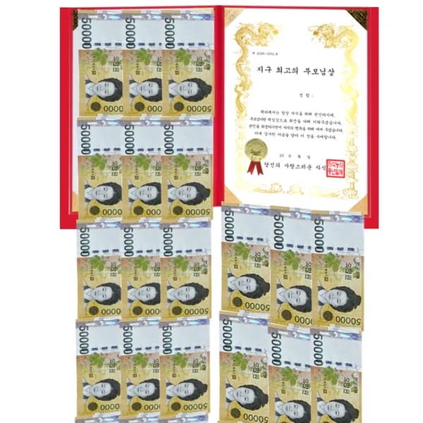 돈벼락상장 용돈박스 핑크 210x297mm 1개