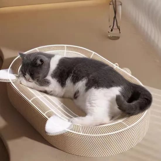 레브망 타원형 침대 스크래쳐, 1개