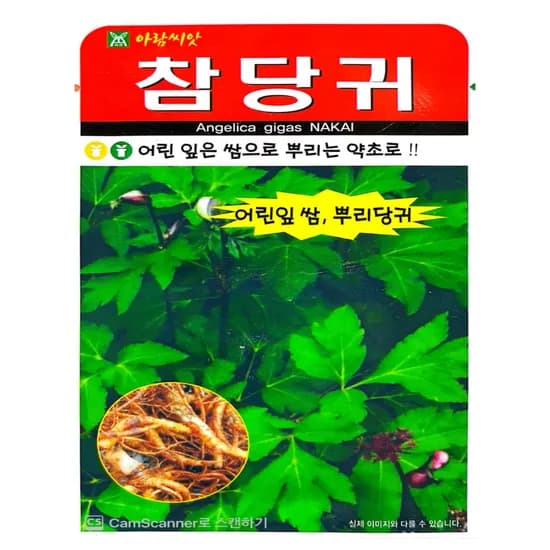 참당귀 씨앗, 200립, 1개