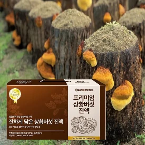 참앤들황토농원 프리미엄 상황버섯 진액 70ml 30포 3박스